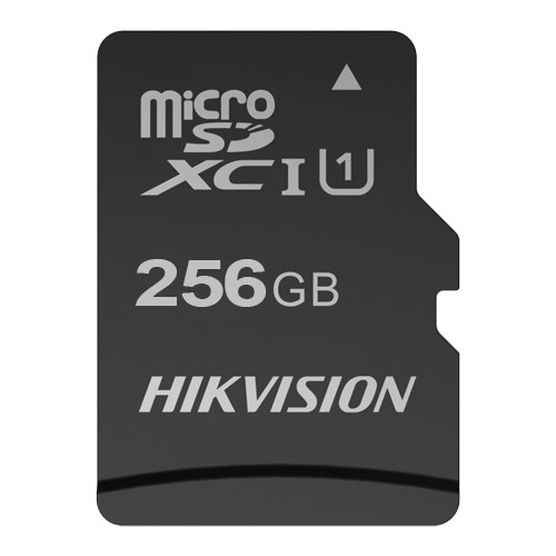 TARJETA MICROSD 256 GB