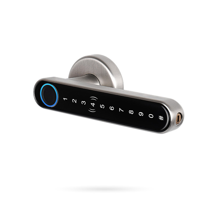 IBINTEL NORA N2 PLATA